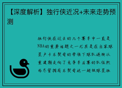 【深度解析】独行侠近况+未来走势预测