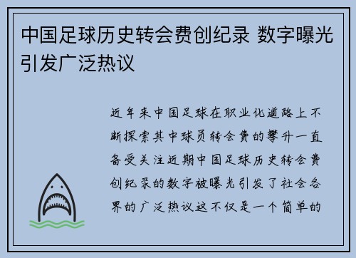 中国足球历史转会费创纪录 数字曝光引发广泛热议
